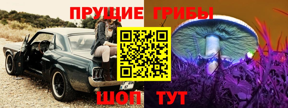 Псилоцибиновые грибы Cubensis Армавир